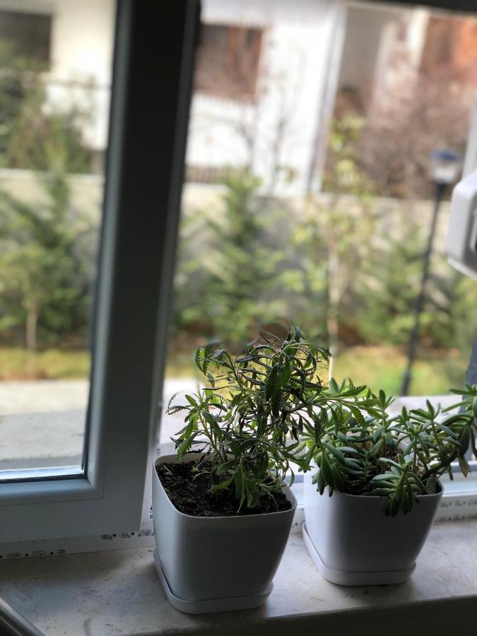 Apartament Jon'S Duplex Tirana Zewnętrze zdjęcie